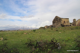 ammena-26-02-2023 14-07-38